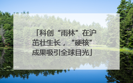 科创“雨林”在沪茁壮生长，“硬核”成果吸引全球目光