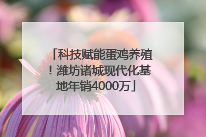 科技赋能蛋鸡养殖！潍坊诸城现代化基地年销4000万