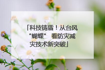 科技铸盾！从台风“蝴蝶” 看防灾减灾技术新突破