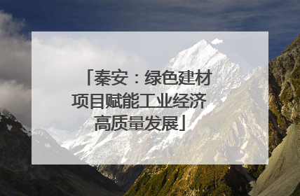 秦安：绿色建材项目赋能工业经济高质量发展