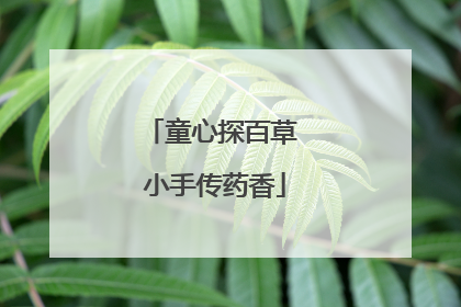 童心探百草 小手传药香