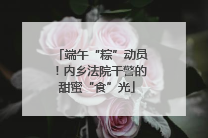 端午“粽”动员！内乡法院干警的甜蜜“食”光