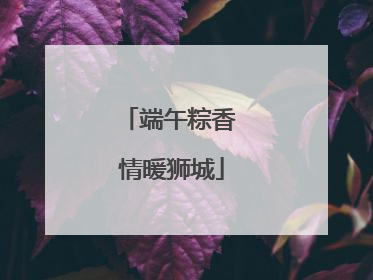 端午粽香 情暖狮城