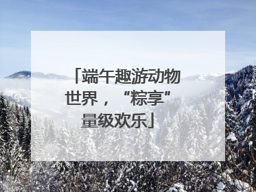 端午趣游动物世界，“粽享”量级欢乐