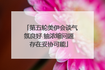 第五轮美伊会谈气氛良好 铀浓缩问题存在妥协可能