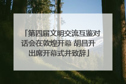 第四届文明交流互鉴对话会在敦煌开幕 胡昌升出席开幕式并致辞