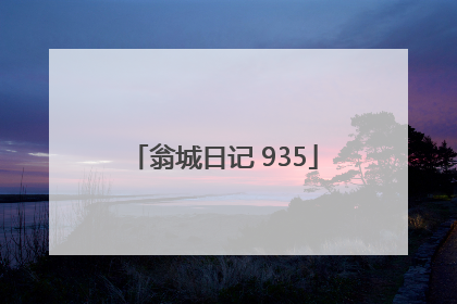 翁城日记 935