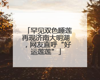 罕见双色睡莲再现济南大明湖，网友直呼“好运莲莲”