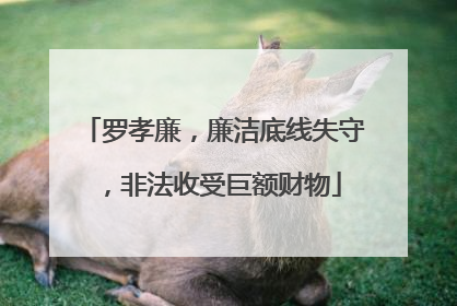 罗孝廉，廉洁底线失守，非法收受巨额财物
