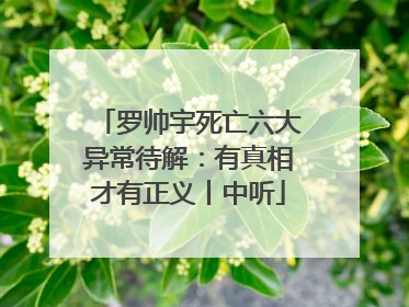罗帅宇死亡六大异常待解：有真相才有正义丨中听