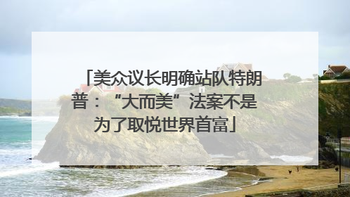 美众议长明确站队特朗普：“大而美”法案不是为了取悦世界首富