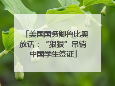 美国国务卿鲁比奥放话：“狠狠”吊销中国学生签证