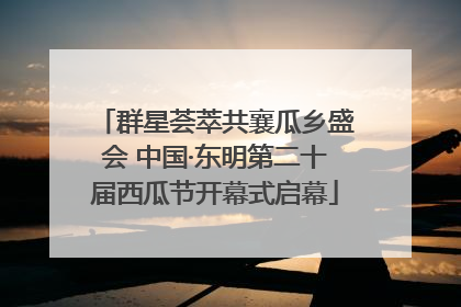 群星荟萃共襄瓜乡盛会 中国·东明第二十届西瓜节开幕式启幕