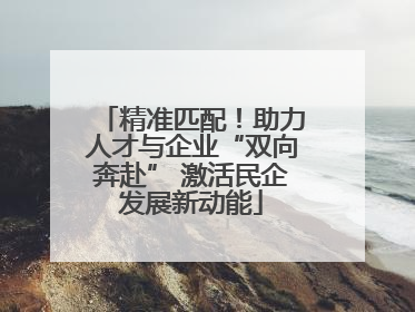 精准匹配！助力人才与企业“双向奔赴” 激活民企发展新动能