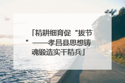精耕细育促“拔节”——孝昌县思想铸魂锻造实干精兵