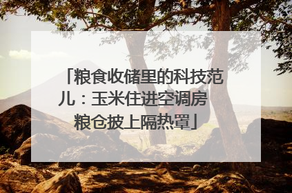粮食收储里的科技范儿：玉米住进空调房 粮仓披上隔热罩