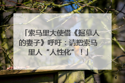 索马里大使借《掘墓人的妻子》呼吁：请把索马里人“人性化”！