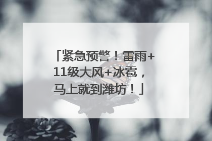 紧急预警！雷雨+11级大风+冰雹，马上就到潍坊！