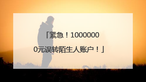 紧急！10000000元误转陌生人账户！
