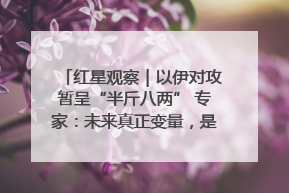 红星观察｜以伊对攻暂呈“半斤八两” 专家：未来真正变量，是美国是否进一步介入