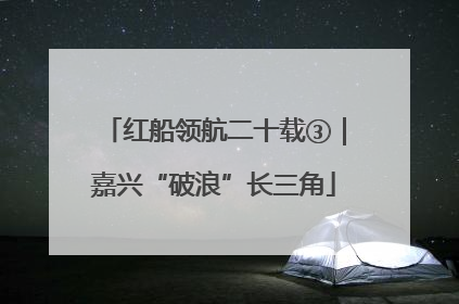 红船领航二十载③｜嘉兴“破浪”长三角