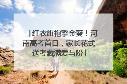 红衣旗袍擎金葵！河南高考首日，家长花式送考藏满爱与盼