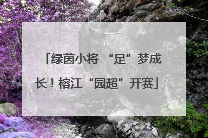 绿茵小将 “足”梦成长！榕江“园超”开赛