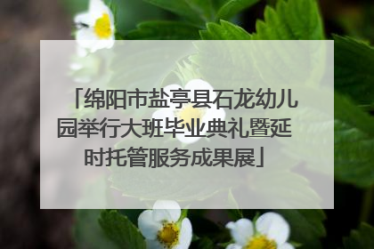 绵阳市盐亭县石龙幼儿园举行大班毕业典礼暨延时托管服务成果展