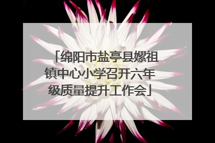 绵阳市盐亭县嫘祖镇中心小学召开六年级质量提升工作会