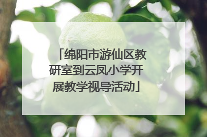 绵阳市游仙区教研室到云凤小学开展教学视导活动