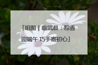 组图｜临武县：粽香迎端午 巧手寄初心