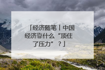 经济随笔丨中国经济靠什么“顶住了压力”？