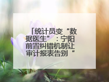 统计员变“数据医生”：宁阳前置纠错机制让审计报表告别“带病上岗”