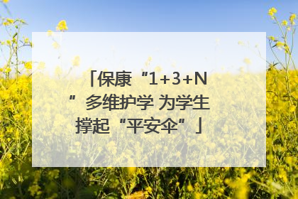 保康“1+3+N”多维护学 为学生撑起“平安伞”