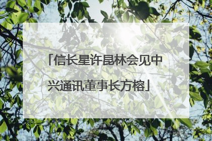 信长星许昆林会见中兴通讯董事长方榕
