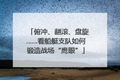 俯冲、翻滚、盘旋……看船艇支队如何锻造战场“鹰眼”