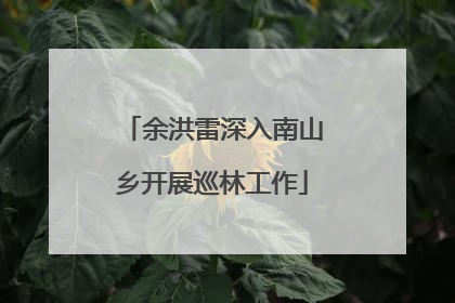 余洪雷深入南山乡开展巡林工作