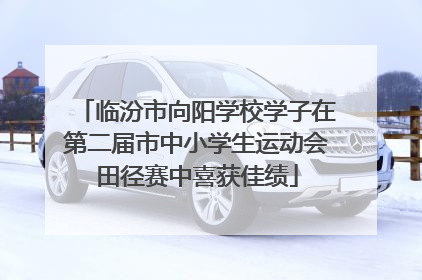 临汾市向阳学校学子在第二届市中小学生运动会田径赛中喜获佳绩