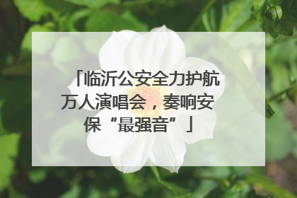 临沂公安全力护航万人演唱会，奏响安保“最强音”