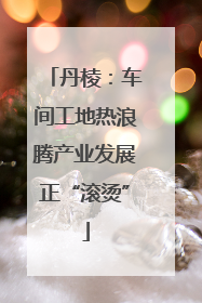 丹棱：车间工地热浪腾产业发展正“滚烫”