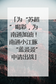 为“苏超”喝彩，为南通加油！南通小江豚“蓝叒叒”申请出战