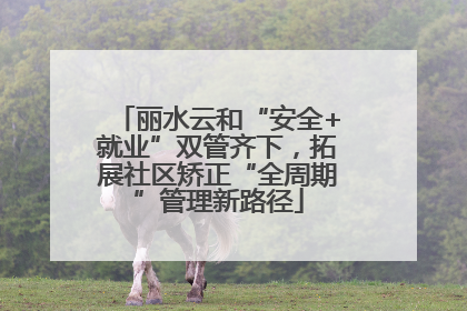 丽水云和“安全+就业”双管齐下，拓展社区矫正“全周期”管理新路径