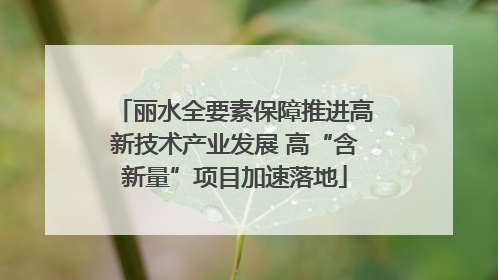 丽水全要素保障推进高新技术产业发展 高“含新量”项目加速落地