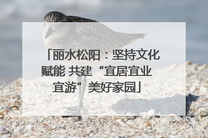 丽水松阳：坚持文化赋能 共建“宜居宜业宜游”美好家园