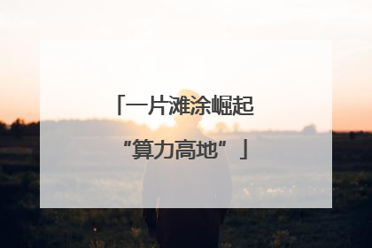 一片滩涂崛起“算力高地”