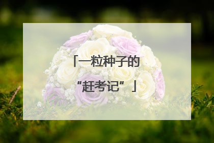 一粒种子的“赶考记”