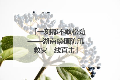 一刻都不敢松劲——湖南桑植防汛救灾一线直击