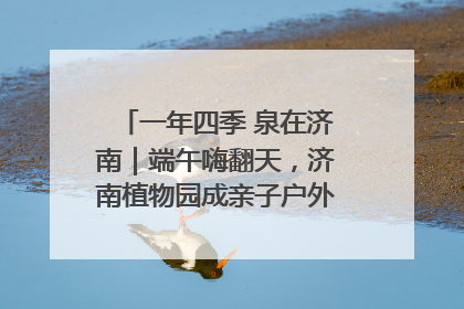 一年四季 泉在济南｜端午嗨翻天，济南植物园成亲子户外热门打卡地