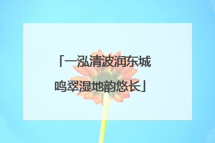 一泓清波润东城 鸣翠湿地韵悠长