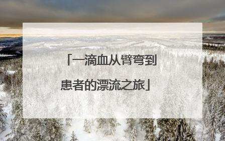 一滴血从臂弯到患者的漂流之旅